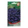 Lobelia flowers "Emperor William", 1000 pcs