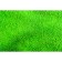 Microfiber Microfiber 35 x 40 cm, Grass, 10 pcs