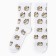 Male socks "dog meme", white color, rr 40-44