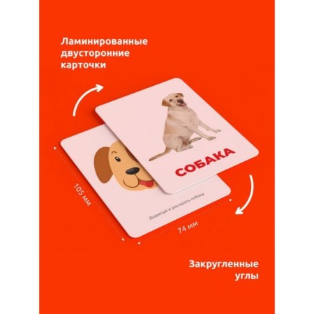Puzzle "Developing cards. Pets"-4