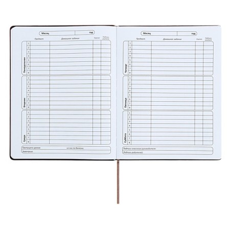 Universal diary for grades 1-11 "strip", solid cover of artificial leather, silkography, lies, 48 ​​sheets, chocolate+turquoise-6