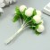 Stamens for flowers "Blood Milk ball" d = 1.5-2 cm 1 bouquet = 10 pcs 10 cm