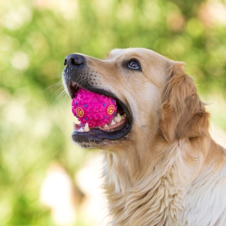 Crooking ball for dogs, hard, 7.5 cm, pink-4