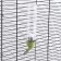Drill for rodents, 125 ml, fastening-spring, green