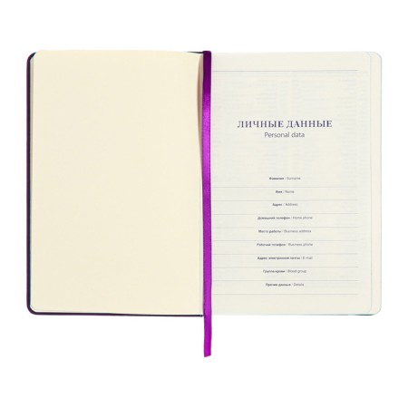 Leduced Diary A5, 140l, cage, leatherette, elastic band, blue cut, purple-6