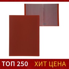 Folder with 10 A4, 500 microns, Calligrata, texture 