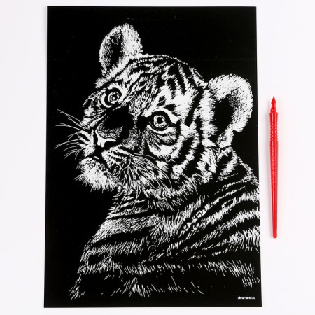 Engraving. Set of engravings "Family of cats", A4, 4 pcs-5