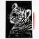 Engraving. Set of engravings "Family of cats", A4, 4 pcs