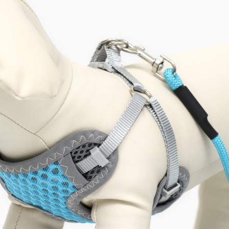 AMUNICE kit with a soft breathing harness and a round leash 120 x 1 cm, blue-1