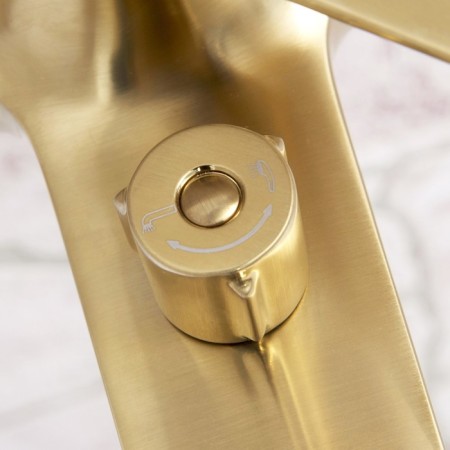 Wasserkraft ABENS 5501 bath mixer, single -leaf, watering can, pour 170mm, matte gold 75777-4