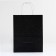 Paper gift package with glitter black, 21 x 11 x 27 cm