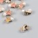 Button plastic for creativity "Star with pearls" set 10 pcs mix 1.4x1x0.8 cm