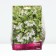 Medunitsa Hybrid Opal, Rr. I, 1 pc, Spring 2025