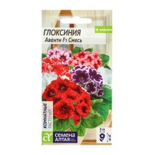 Seeds of indoor flowers gloxinia Avanti 