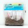 Lilia "Oriental Dizzi", rr 14/16, 2 pcs.