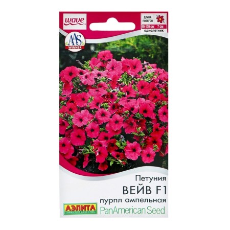 Flowers of Petunia "Weive" F1 Purple ampel, c/n, 4 pcs