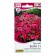 Flowers of Petunia "Weive" F1 Purple ampel, c/n, 4 pcs