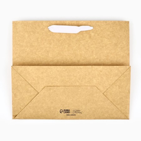 New Year's Craft gift package with a plastic window “Make a desire”, 31 x 26 x 11 cm, New Year-4