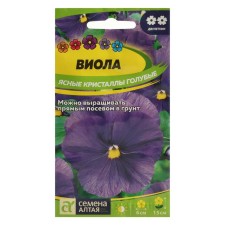 Viola flowers 