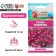 Lobelia flowers "Rosamund", 5 pcs.