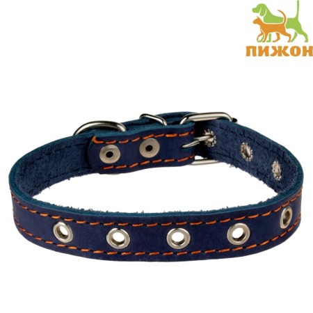 Collar leather single-layer dimensionless, 45 x 2 cm, Osh 18-39 cm, blue