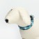 Collar with Militari's backlight 3 glow modes Size s, Osh 22-40 x 2.5 cm blue