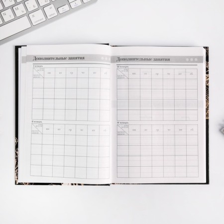 Diary of the Teacher "Golden Teacher", A5 format, solid cover cardboard 7BC, 160 sheets-5