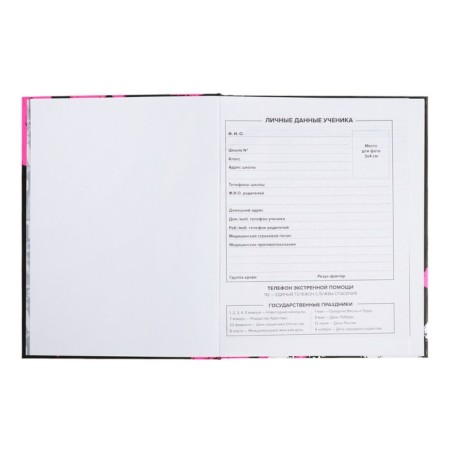 School diary for grades 1-11, 48 sheets "Rabbit Graffiti", hard cover, matte lamination, universal cheat sheet, block 65g/m2-4