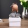Souvenir Polystone "Baby in a dress with a lush skirt, with a bow" MIX 17x8x8 cm