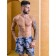 Male ISee shorts, size 50, gray color