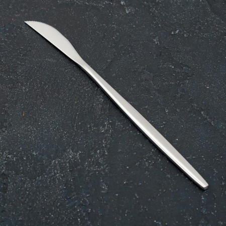Knife magistro "blink", length 22 cm, on suspension, silver color