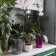 Pot for orchids, 1.2 l, 12.5 × 16.6 cm, plastic, transparent raspberry