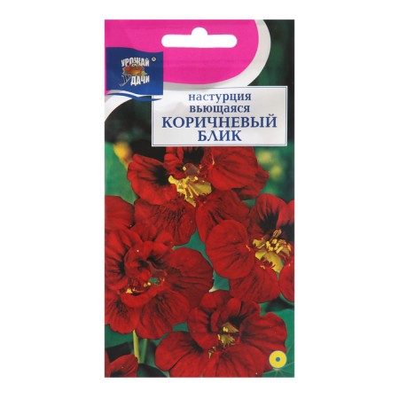 Flower seeds nasturtium "Brown glare", 1.5g