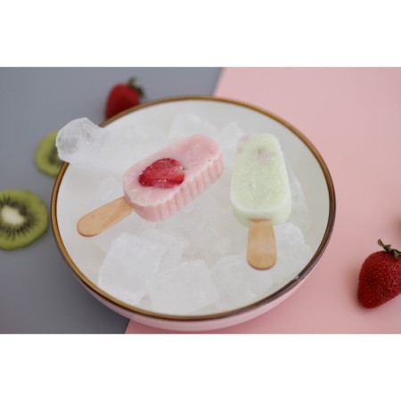 Form for ice cream “Eskimo in the glaze”, silicone, 18.5 × 12.3 × 2.5 cm, 4 cells, color mix-7