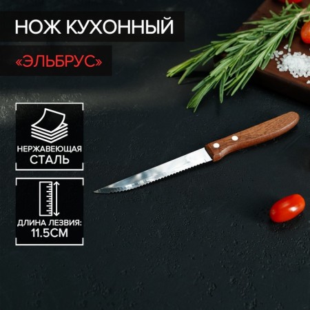 Knife Kitchen shade "Elbrus", gear blade 11.5 cm