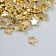 A set of beads for creativity plastic "Star. Gold" set of 20 g 1.1x1.1x0.4 cm