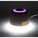 Antomosteal nightlight ERAMF-07 6W 70LM 12x12x12 cm