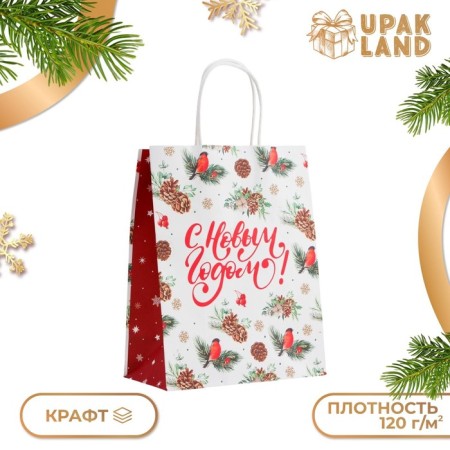New Year. Package Paper Gift New Year craft "New Year" 27 x 21 x 11 cm.