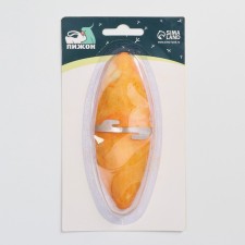 Caracate carapace for birds 