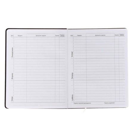 Universal diary for NEVER 1-11 grade, integral cover, artificial leather, application, liesse, 80 g/m2-7
