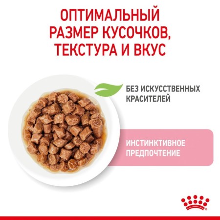 Wet feed RC Kitten Instinction for kittens, in sauce, spider, 85 g-3