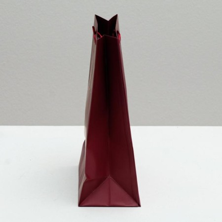 Gift Laminated Vertical Package, Packaging, “From the Control”, S 12 x 15 x 5.5 cm, with embossing-2