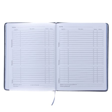 Universal diary for grades 1-11, 48 Velvet sheets, hard cover, artificial leather, thermoting, liesse, block 70 g/m2, blue-1