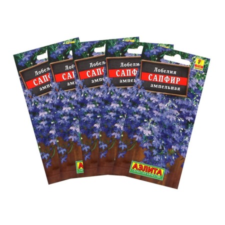 Lobelia flowers "sapphire" ampel, set 5 pcs