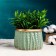 Pot "Elegy" green 12x9cm, 0.6 l, d-9.5,