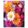 Pillow Rush "Autumn Bouquet, Decorative, Size 16x45 cm