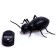 Ant radio -controlled "tree", works from batteries, light