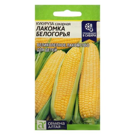 Corn seeds "Glacock of the Belogorye", this. ALT, c/p, 5 g