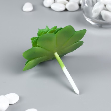 Artificial succulent for creating Florarium Molodilo 6x7.5x7.5 cm-1