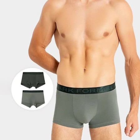 Set of men's panties boxers (2 pcs), gray color, size 46 (s)